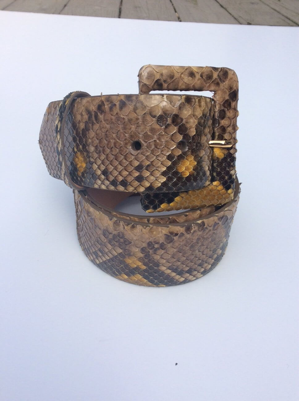 Python Belt in Yellow | Everard's Clothing